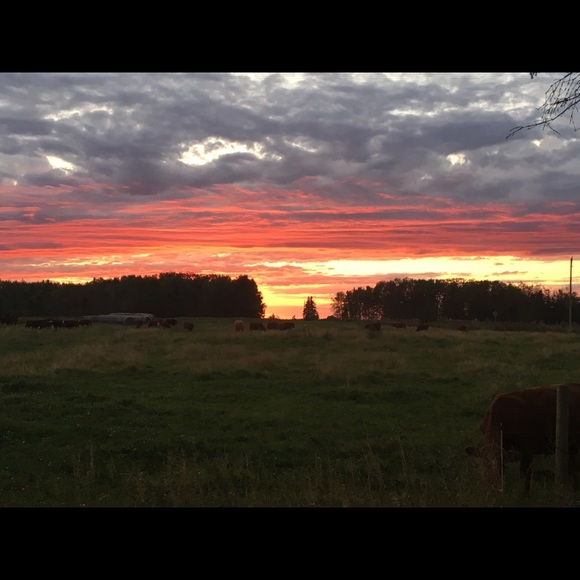 Meet your Posher, Laura - Picture 1 of 1